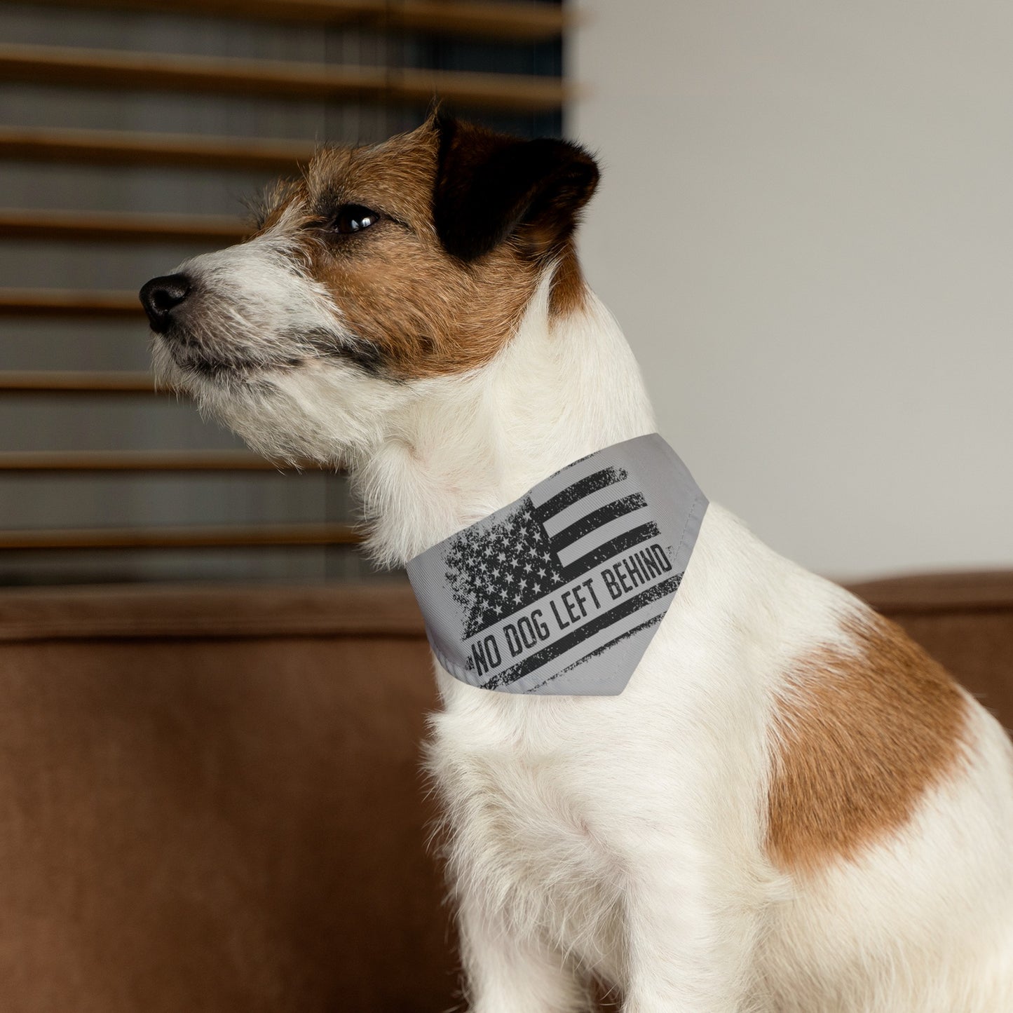 NDLB Bandana Collar