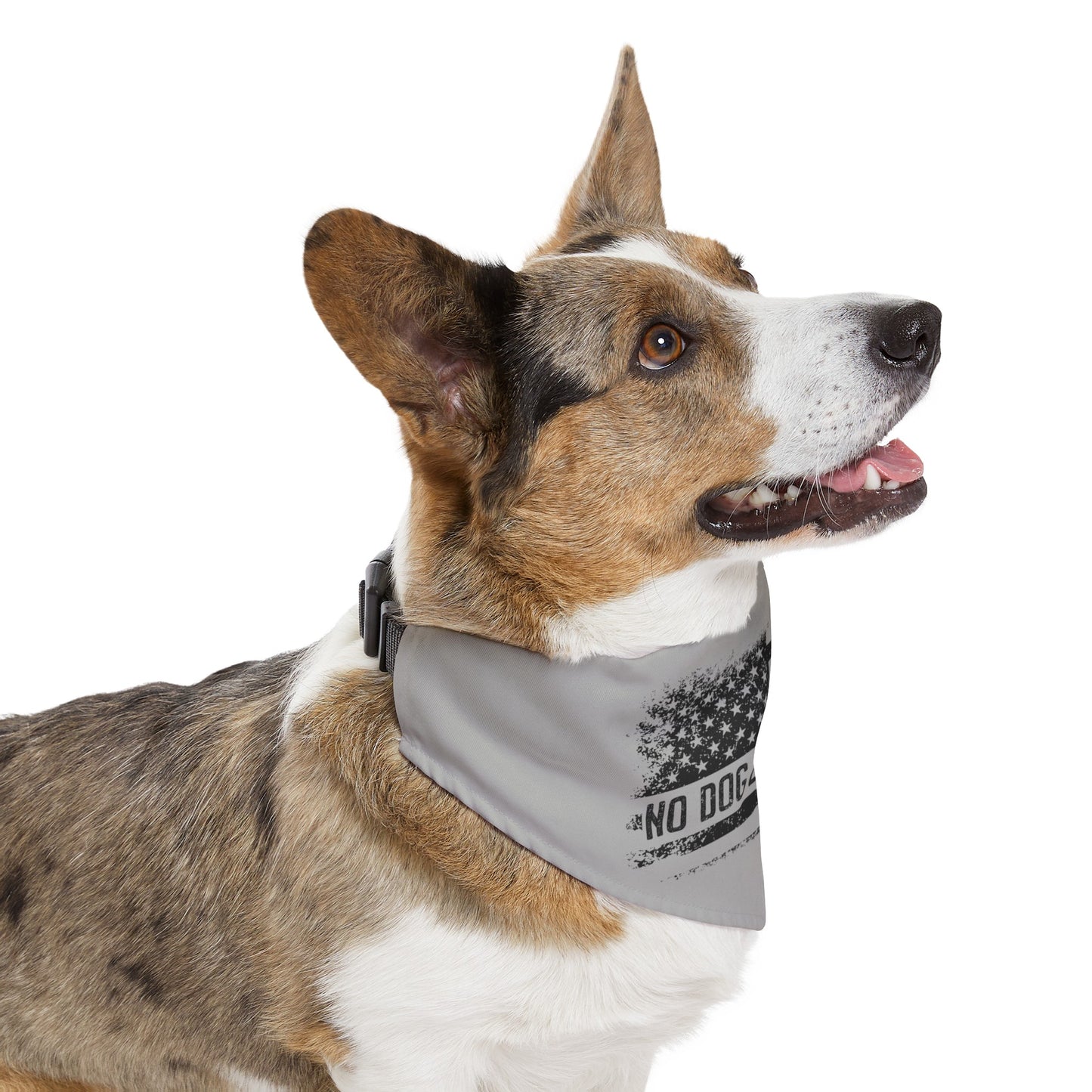 NDLB Bandana Collar